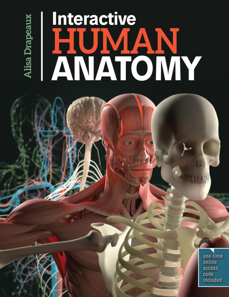 Interactive Human Anatomy