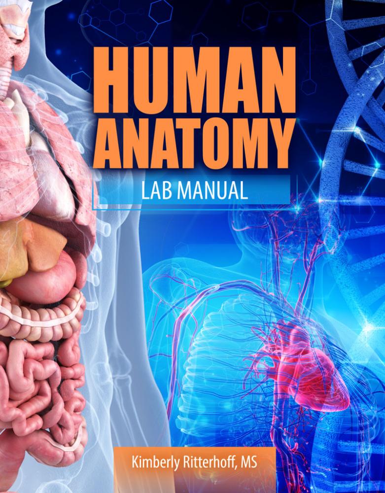 Human Anatomy Lab Manual Higher Education