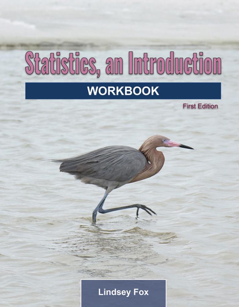 Statistics, An Introduction: Workbook