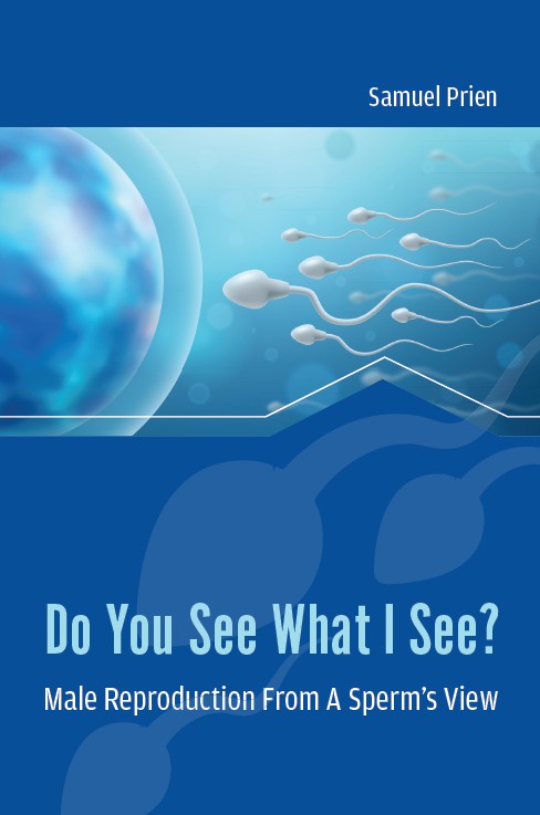 Do You See What I See? Male Reproduction From A Sperm's View