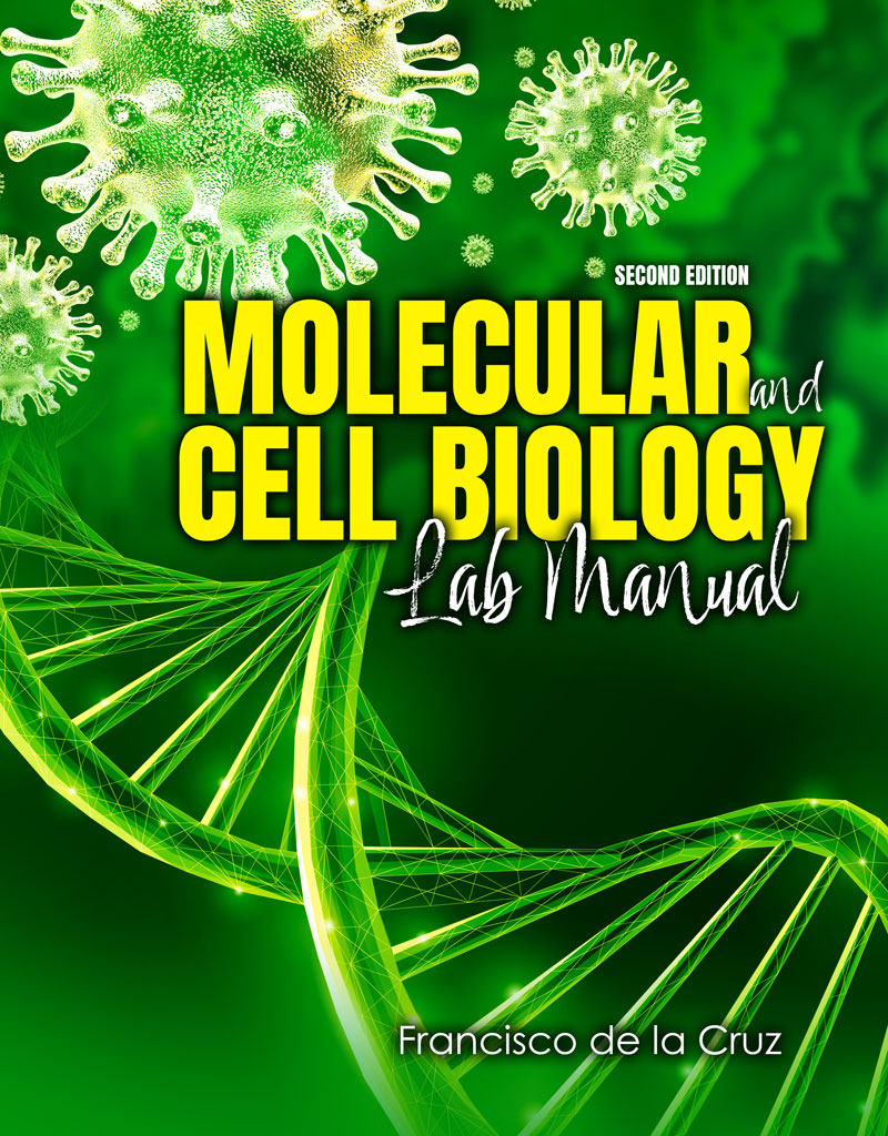 Molecular Cell Biology Lab