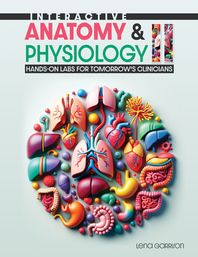 Interactive Anatomy & Physiology II: Hands-On Labs for Tomorrow's Clinicians