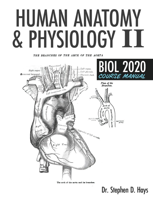 Human Anatomy & Physiology II BIOL 2020 Course Manual