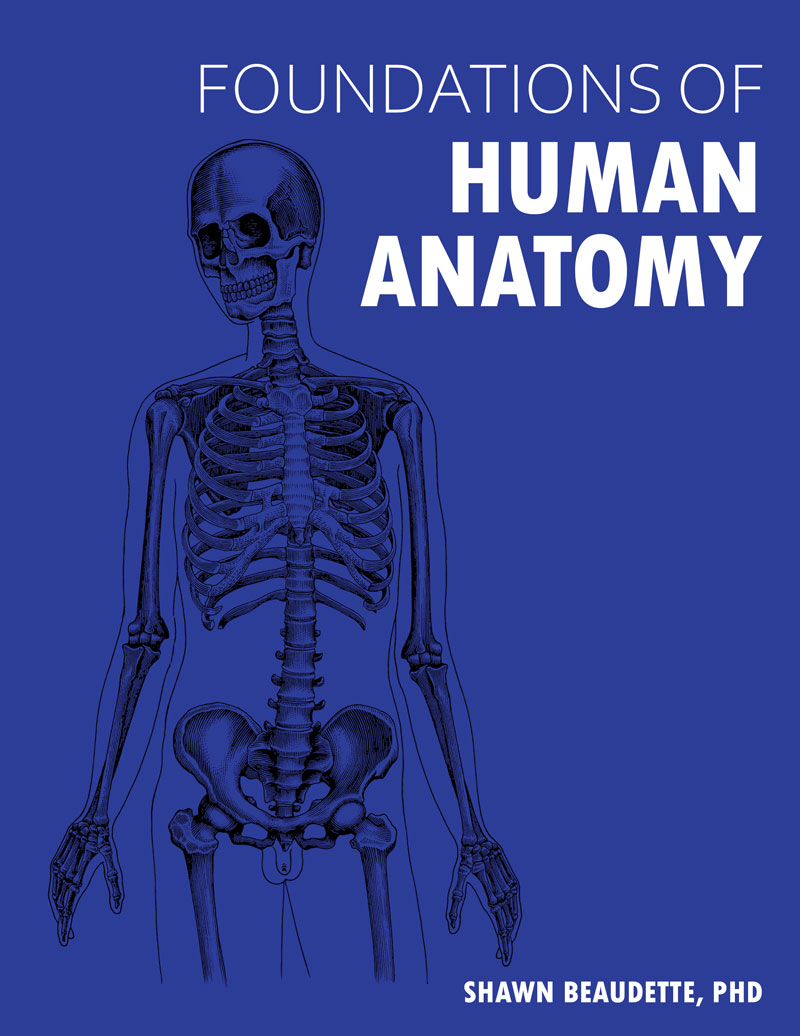 Foundations of Human Anatomy