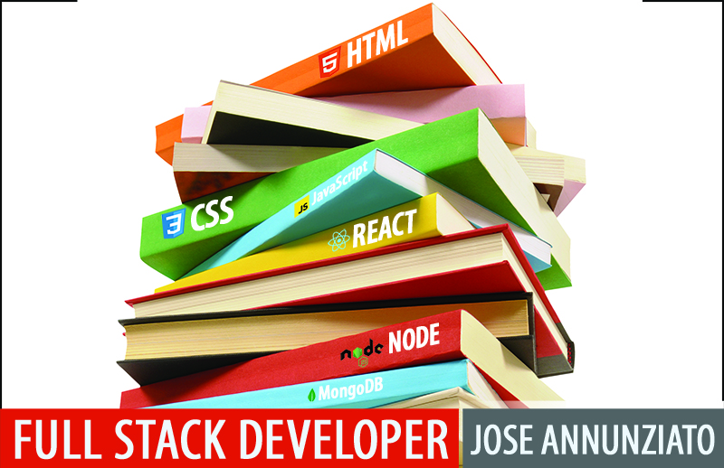 Full Stack Developer