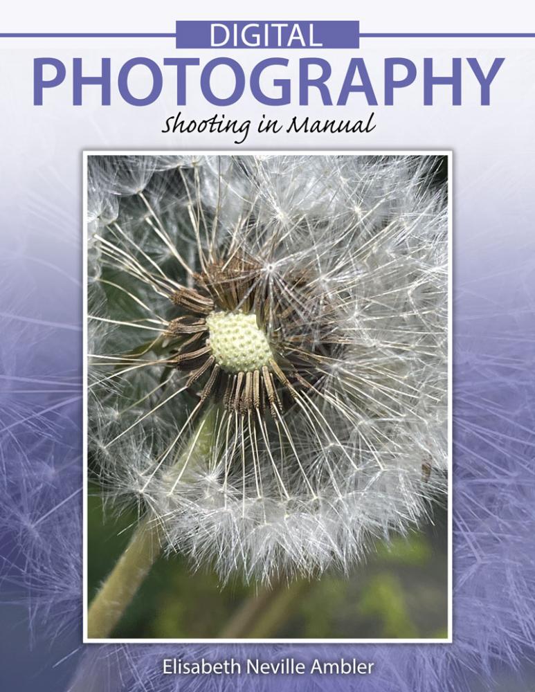 Digital Photography: Shooting in Manual