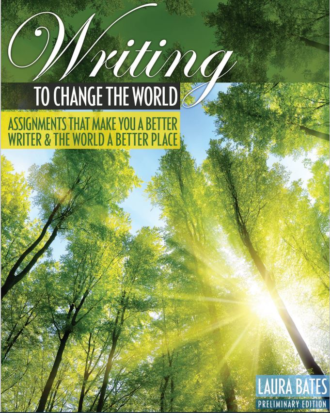 Writing to Change the World, Preliminary Edition