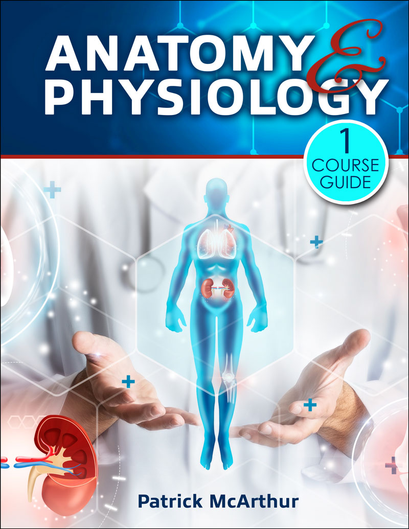 Anatomy & Physiology I Course Guide Higher Education