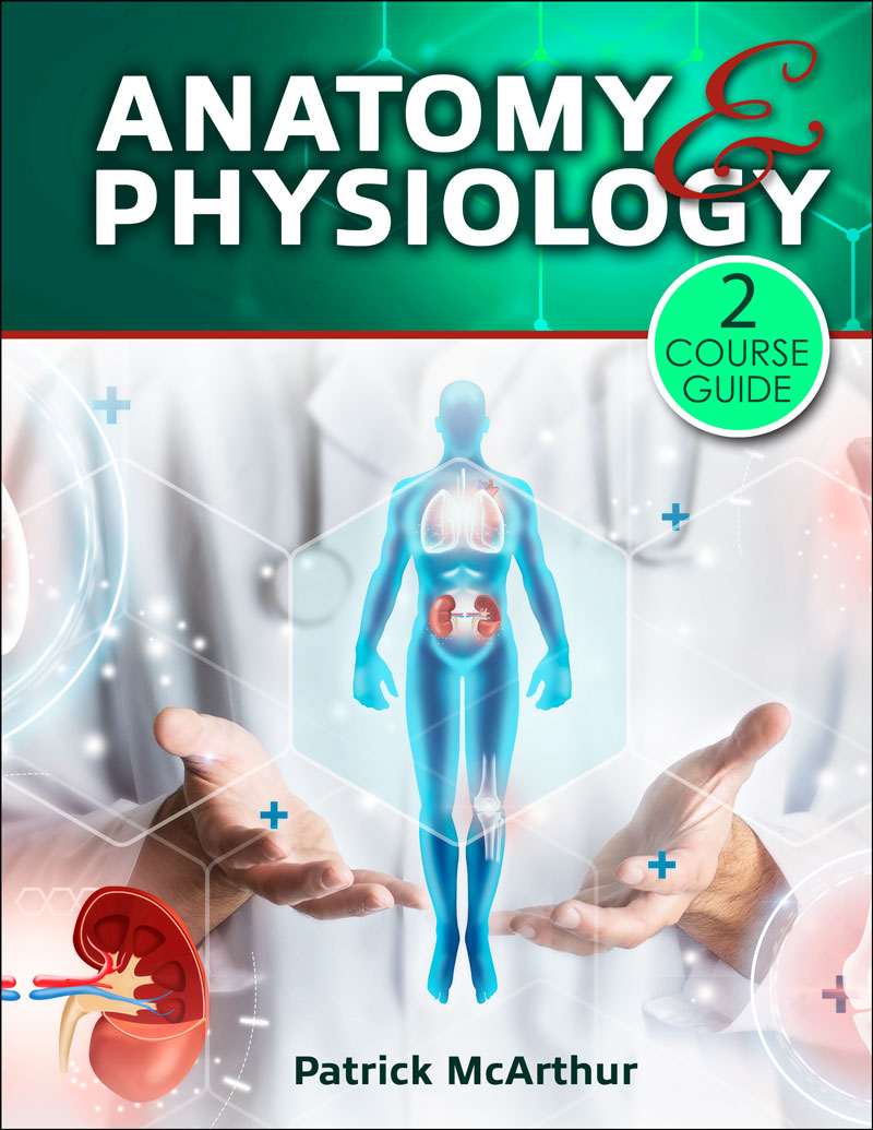 Anatomy & Physiology II Course Guide