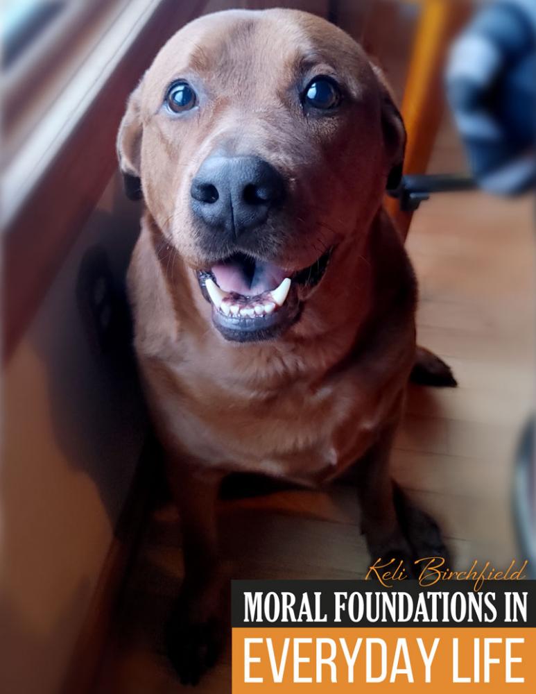 Moral Foundations in Everyday Life