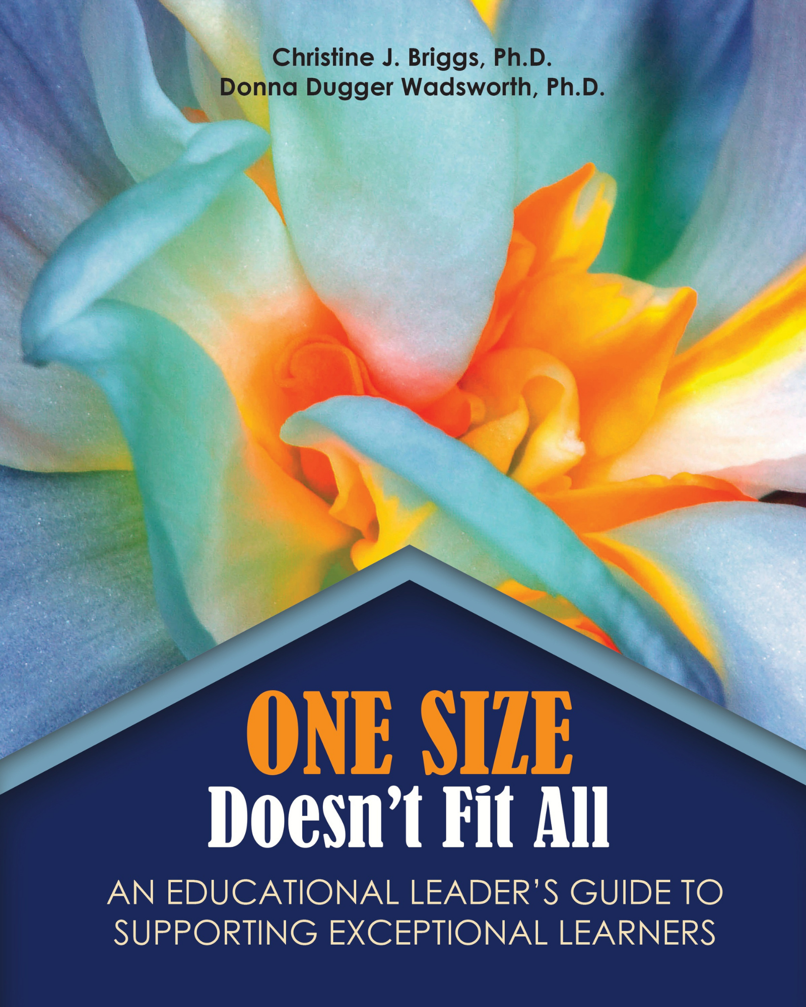 One Size Doesn't Fit All: An Educational Leader's Guide to Supporting Exceptional Learners