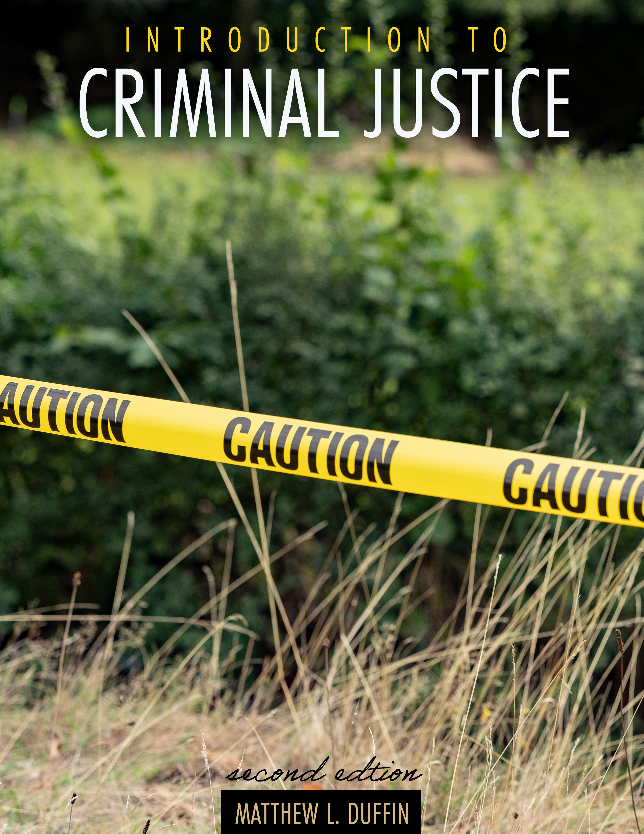 Introduction to Criminal Justice