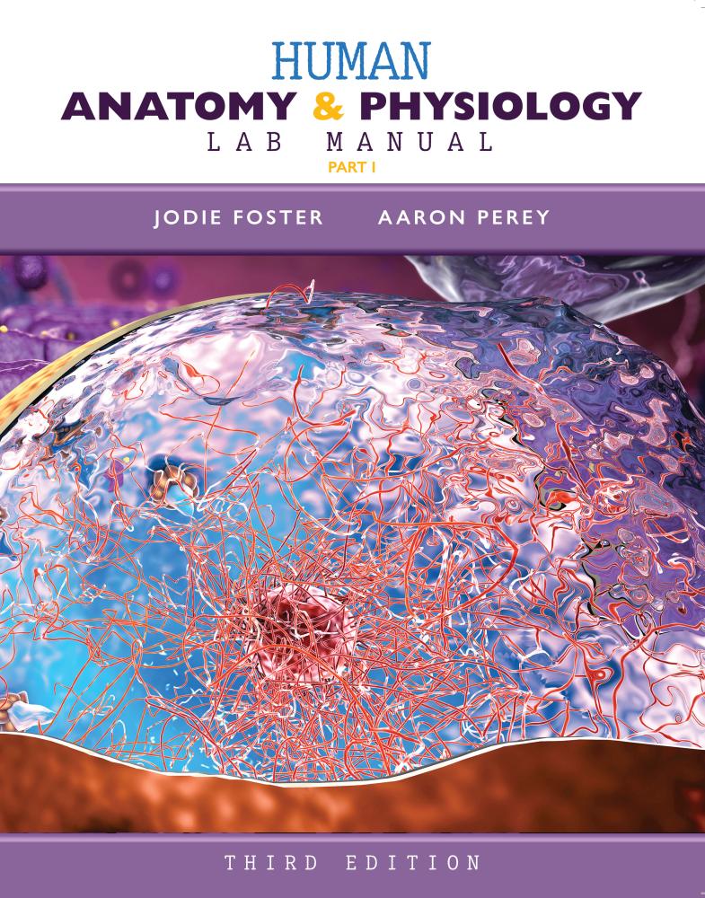 Human Anatomy and Physiology Lab Manual