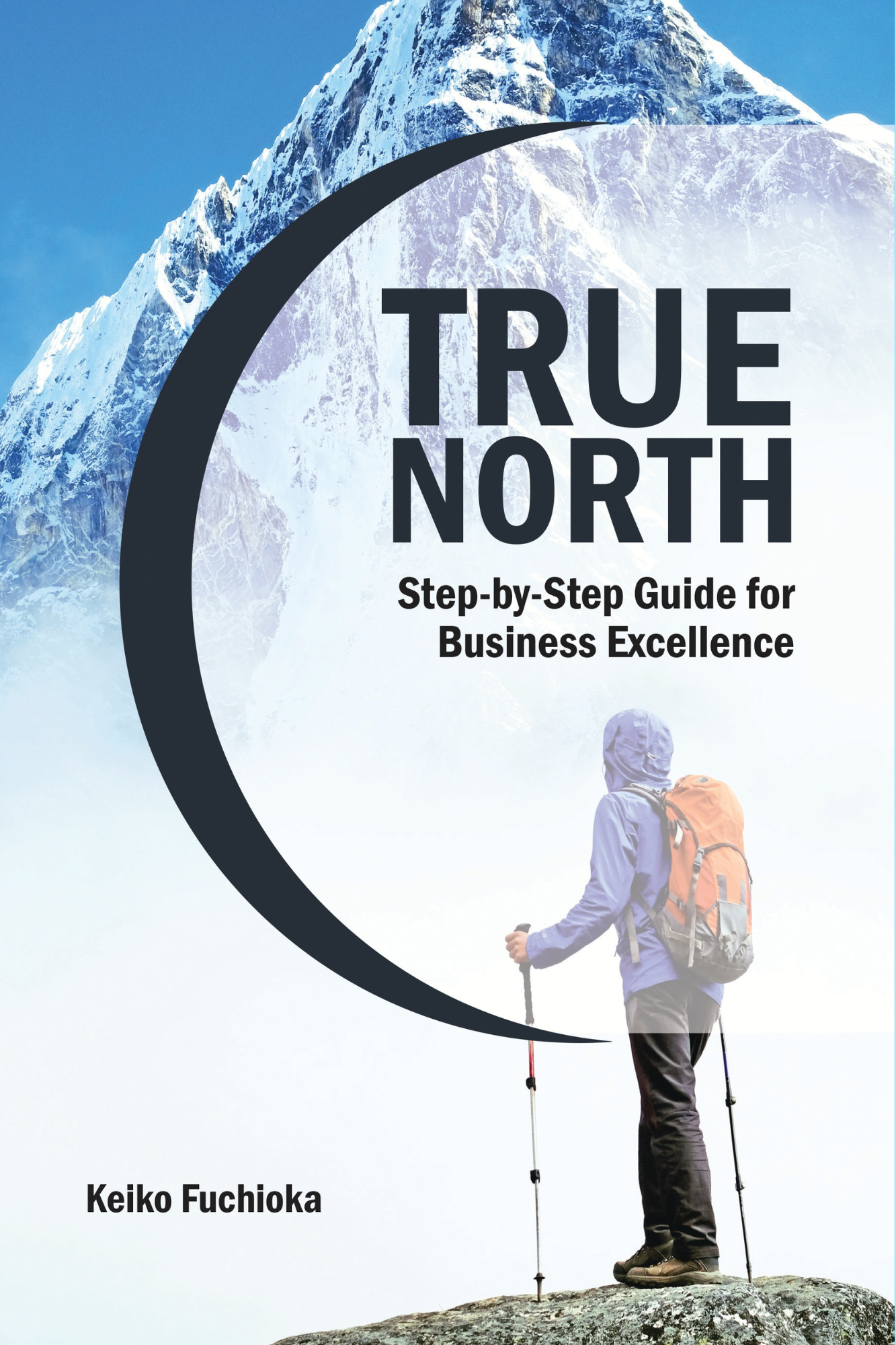 True North: A Step-by-Step Guide for Business Excellence