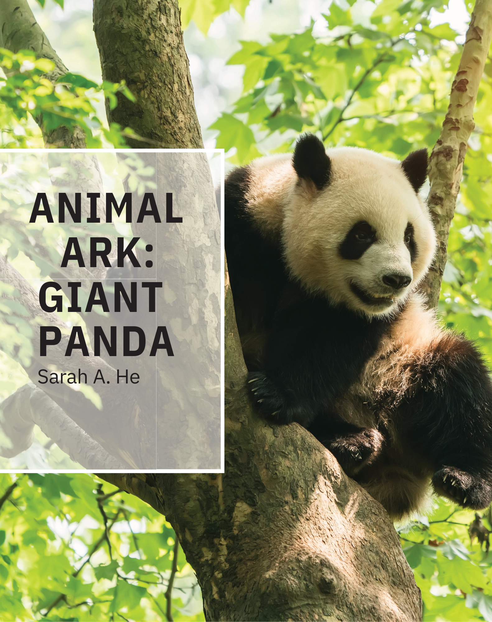 Animal Ark: Giant Panda