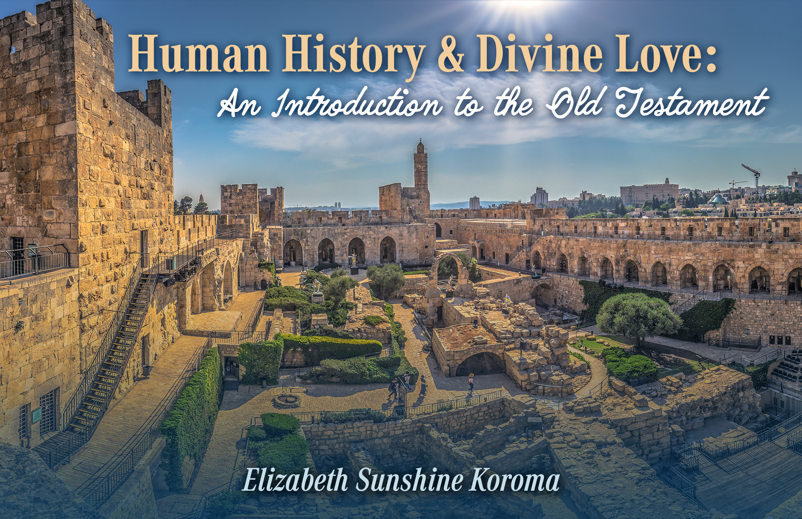 Human History and Divine Love: An Introduction to the Old Testament