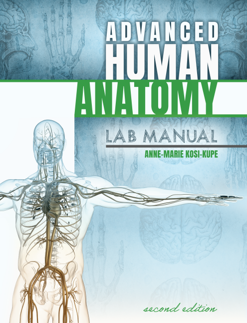Advanced Human Anatomy Lab Manual