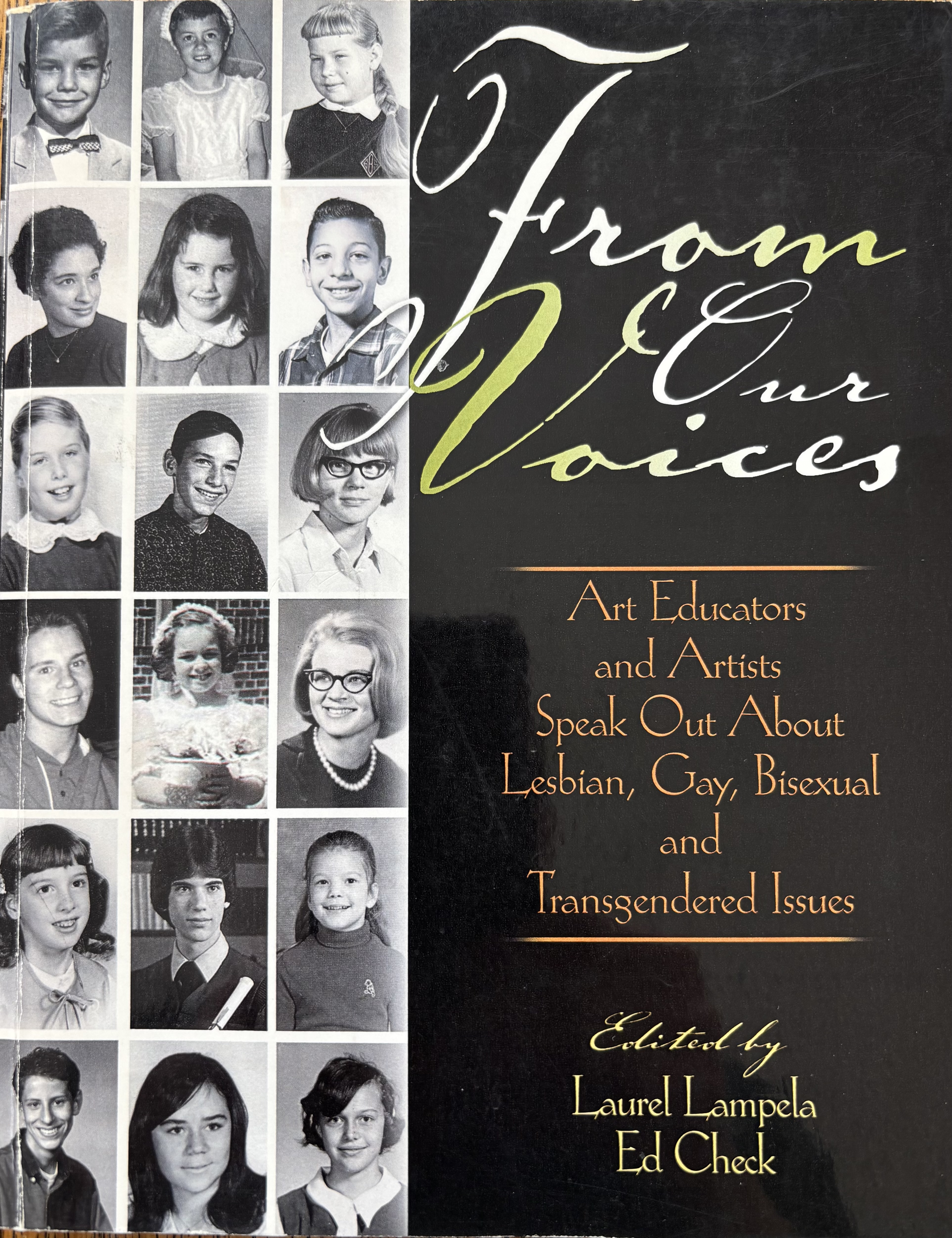 From Our Voices: Art Educators and Artists Speak Out about Lesbian, Gay, Bisexual, and Transgendered Issues