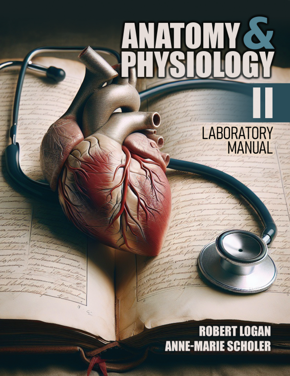 Anatomy & Physiology II Laboratory Manual