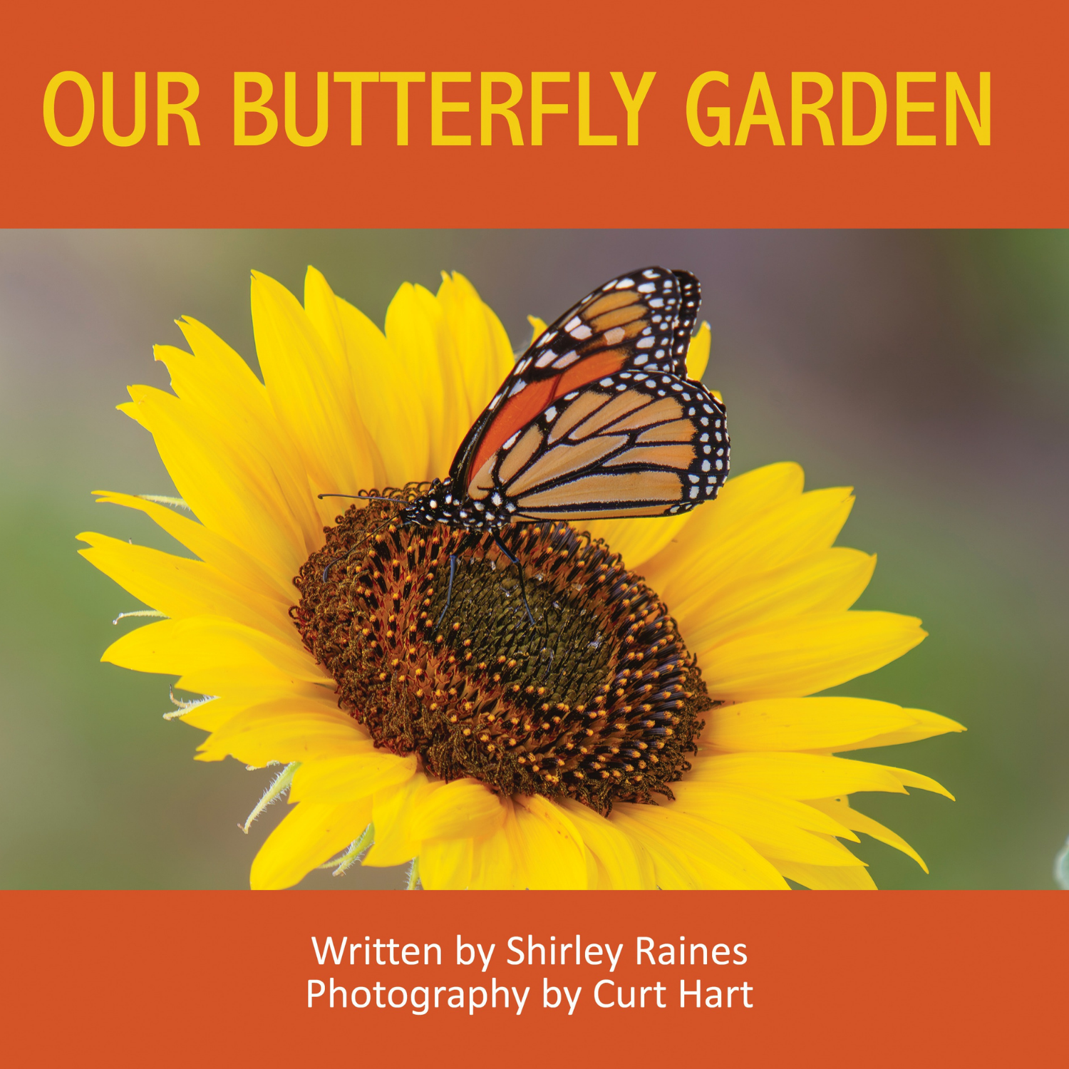 Our Butterfly Garden