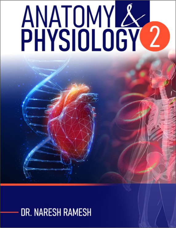 Anatomy and Physiology 2