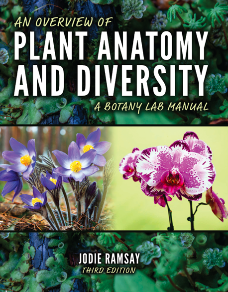 An Overview of Plant Anatomy and Diversity: A Botany Lab Manual