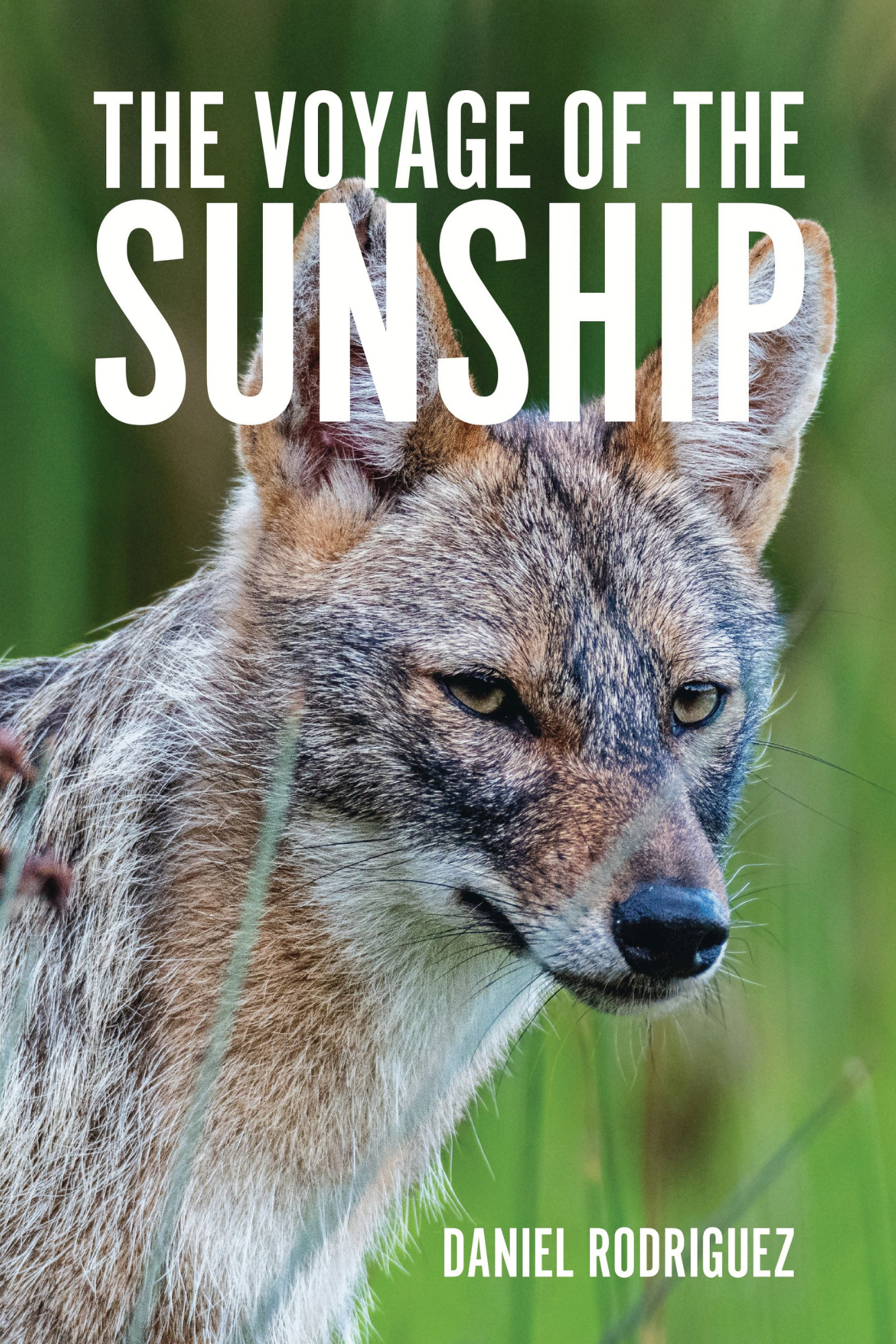 The Voyage of the Sunship