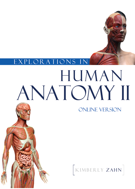 Explorations in Human Anatomy II - Online Version