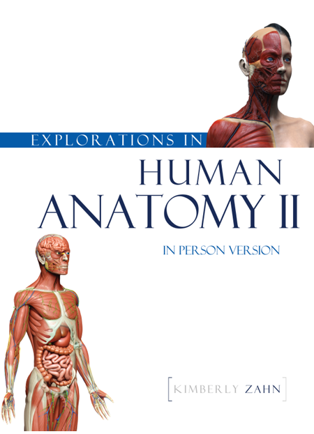 Explorations in Human Anatomy II - in Person Version