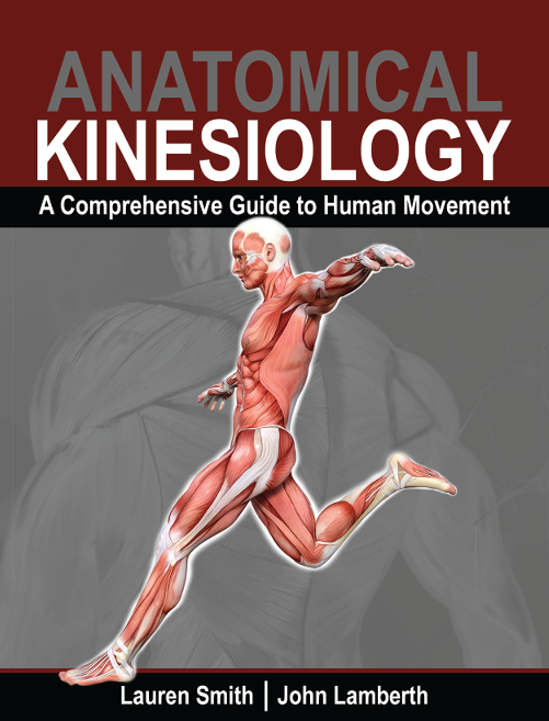 Anatomical Kinesiology: A Comprehensive Guide to Human Movement