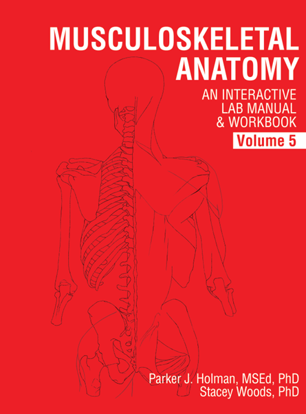 Musculoskeletal Anatomy: An Interactive Lab Manual & Workbook