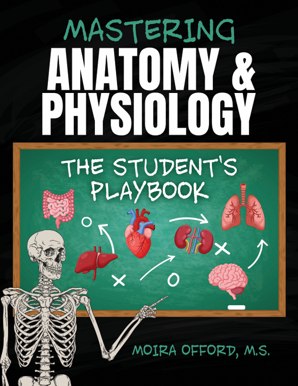 Mastering Anatomy & Physiology: The Student's Playbook
