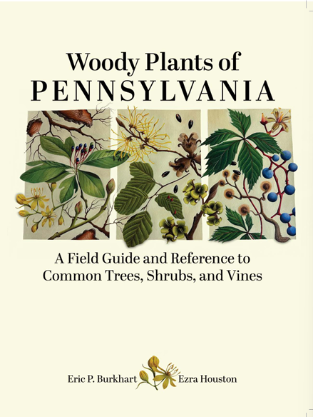 Woody Plants of Pennsylvania: A Field Guide and Reference to Common Trees, Shrubs, and Vines