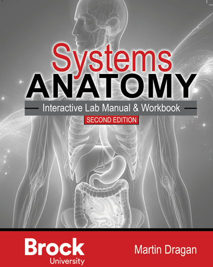 Systems Anatomy: Interactive Lab Manual & Workbook