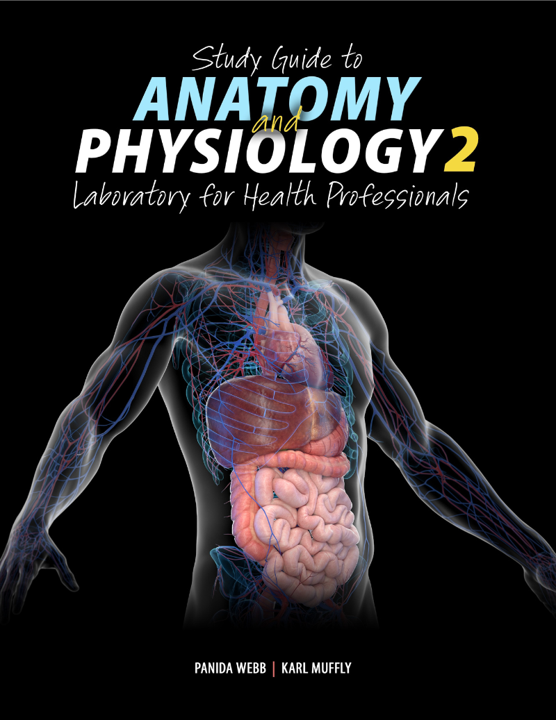 Study Guide to Anatomy and Physiology 2: Laboratory for Health Professionals