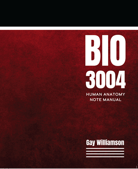 BIO 3004: Human Anatomy Note Manual
