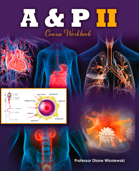 A & P II Course Workbook