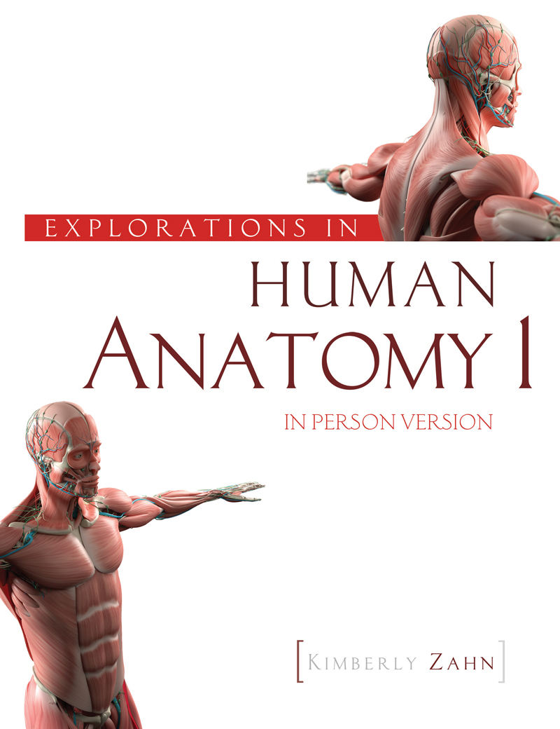 Explorations in Human Anatomy I-In Person Version