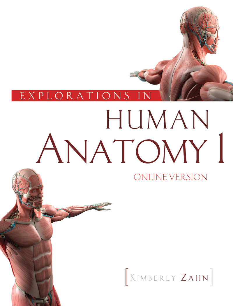 Explorations in Human Anatomy 1-Online Version