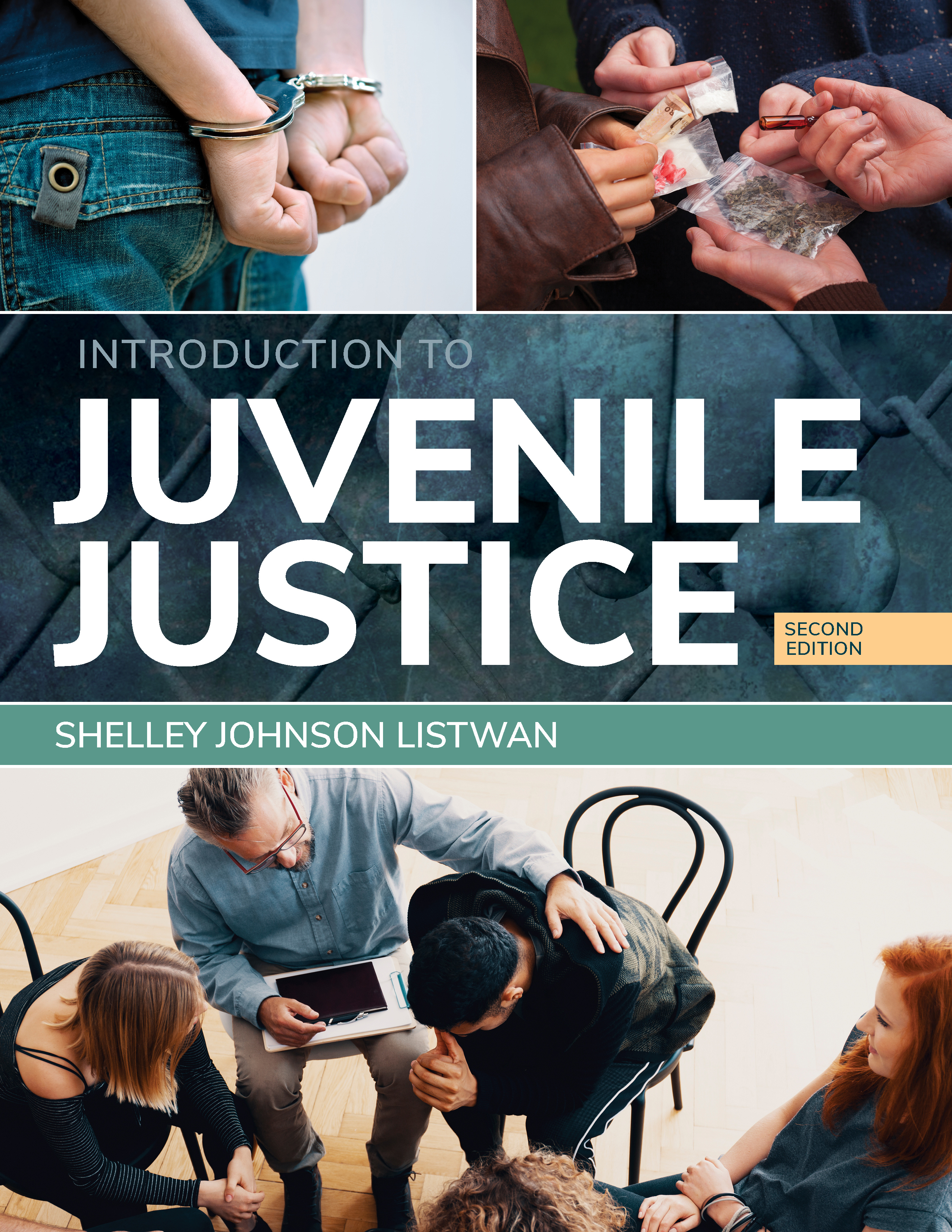 Introduction to Juvenile Justice, Second Edition