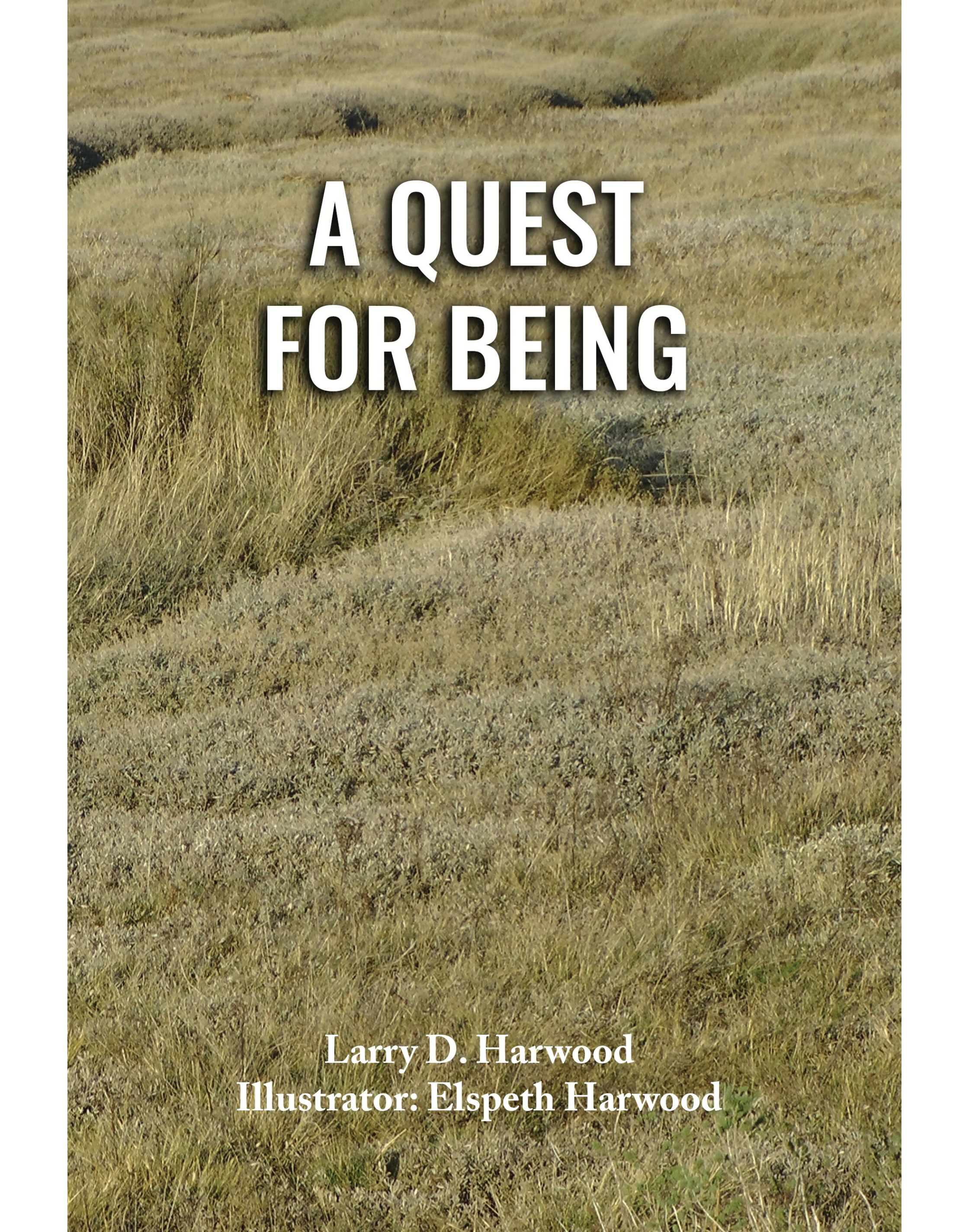 A Quest for Being