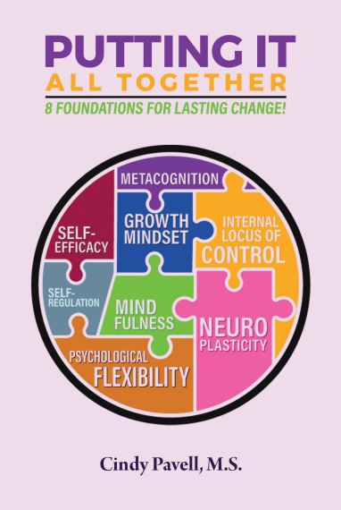 Putting It All Together: Tools, Strategies and Practices for Lasting Behavior Change