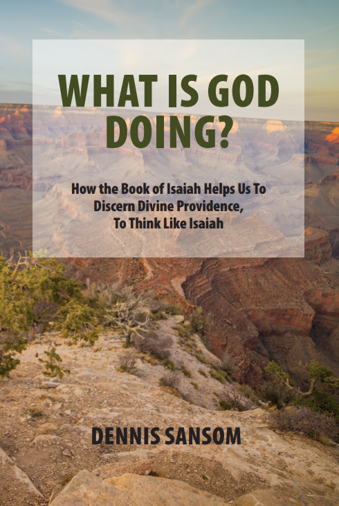 What is God Doing? How the Book of Isaiah Helps Us To Discern Divine Providence, To Think Like Isaiah