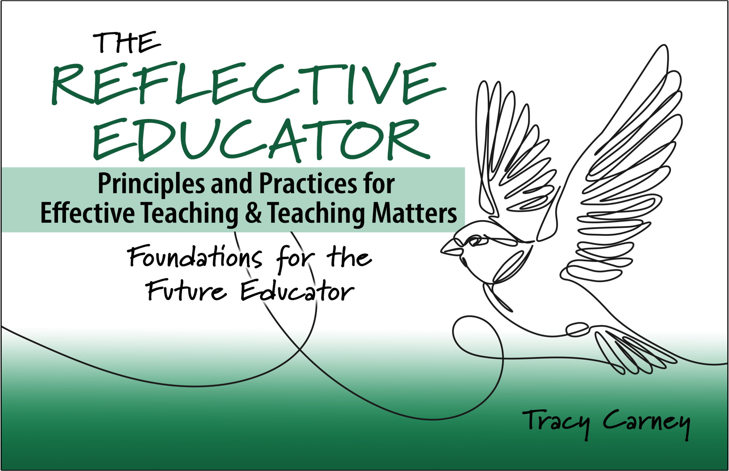 The Reflective Educator: Principles & Practices for Effective Teaching//Teaching Matters: Foundations for the Future Educator