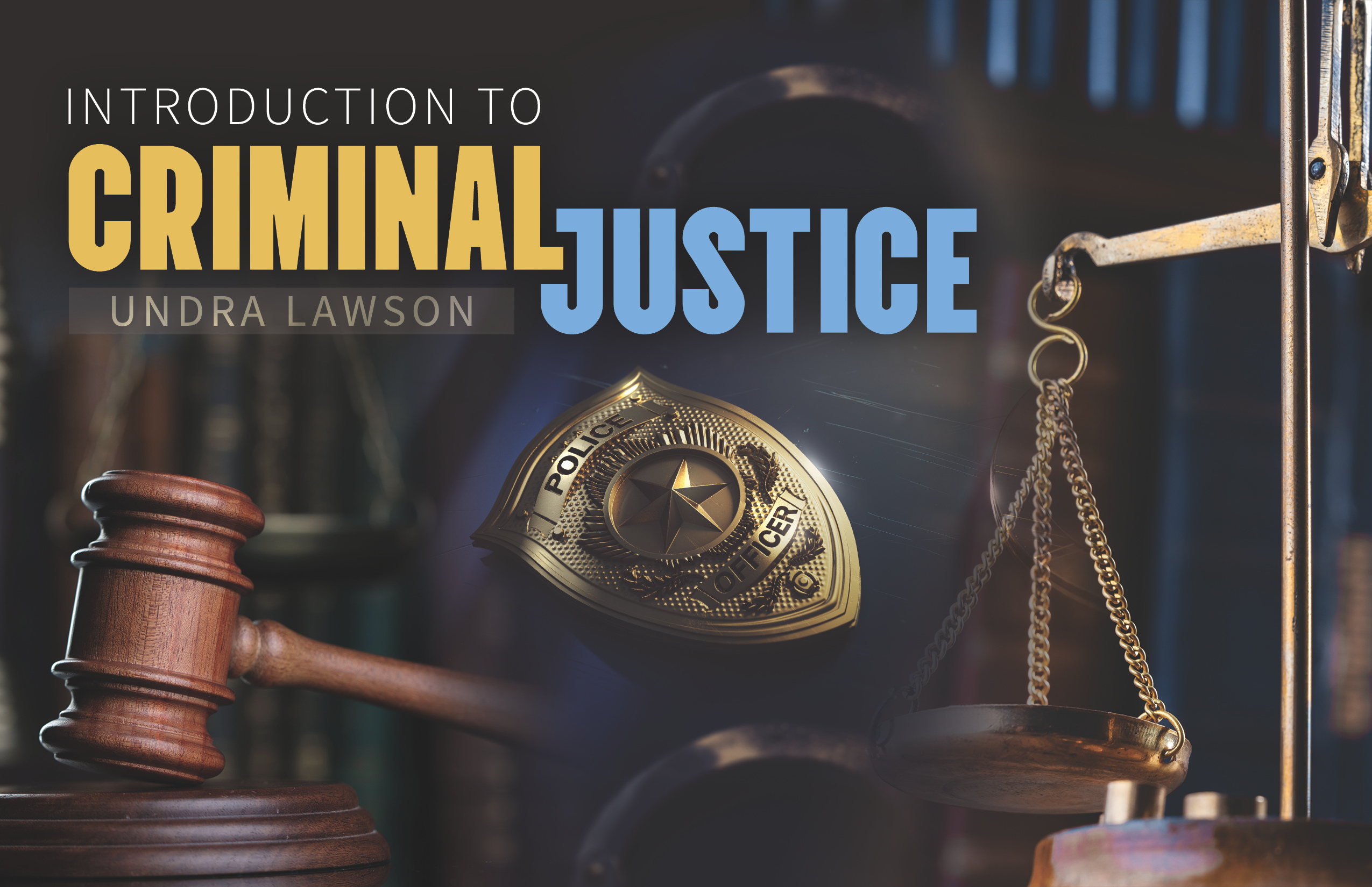Introduction to Criminal Justice