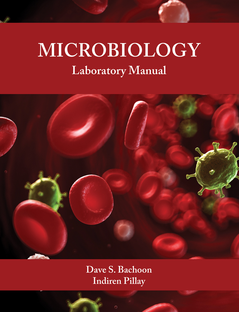 Microbiology Lab Manual