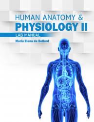 Anatomy & Physiology II Lab Manual