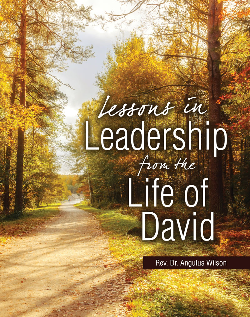 Lessons in Leadership from the Life of David