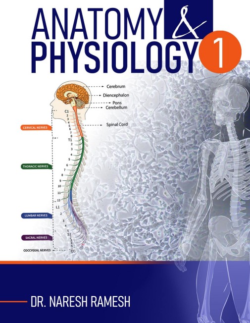 Anatomy and Physiology 1