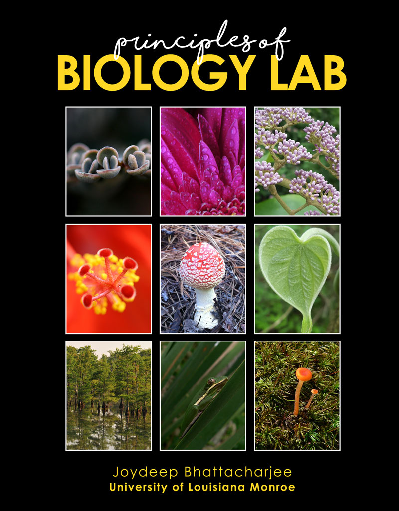 Principles of Biology Lab